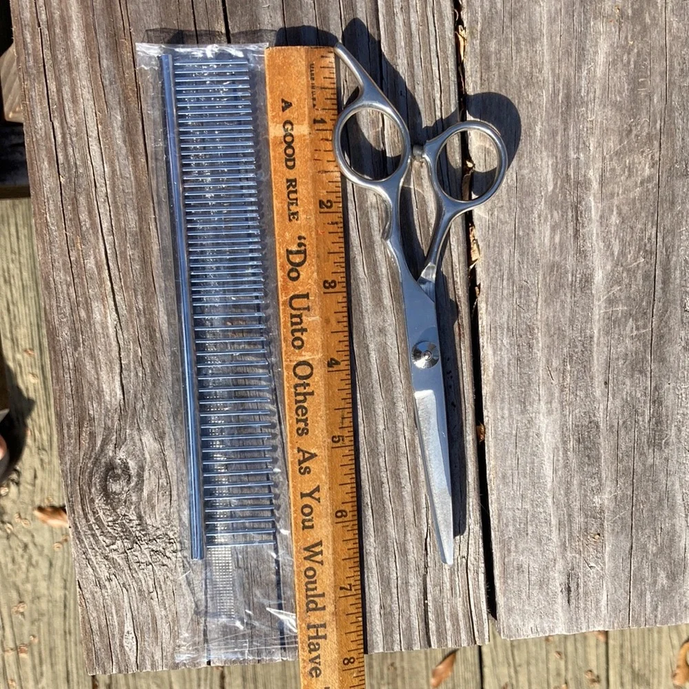 Stainless Steel NWOT
